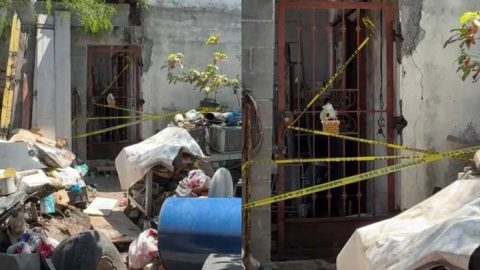 Confirman autoridades que ataque de canes acabó con la vida de bebé en Matamoros 6 dfg