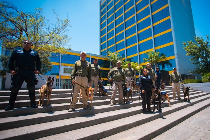 perros-seguridad-k9-18