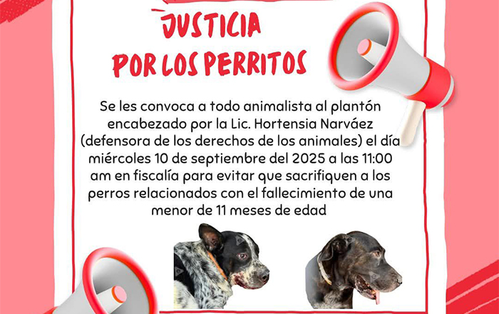 perros