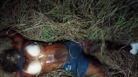 Localizan a mujer sin vida al sur de Reynosa 4 qepd