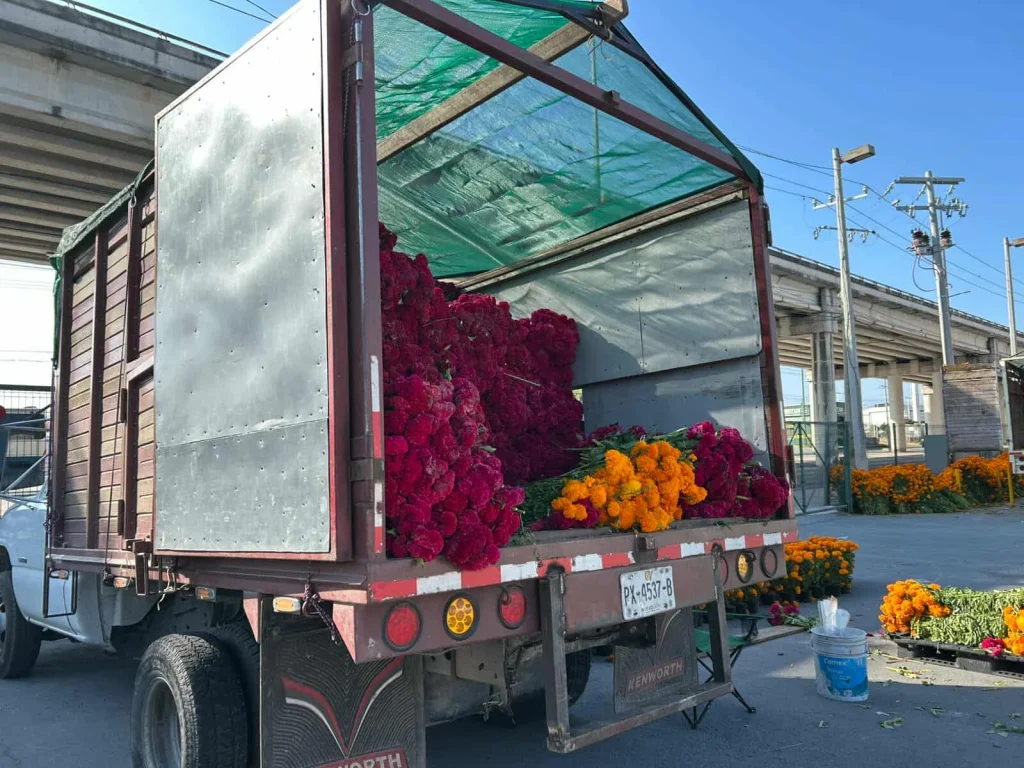 Llegan floristas foráneos a Reynosa 2 567636866 1546344796707762 7605109717950809043 n