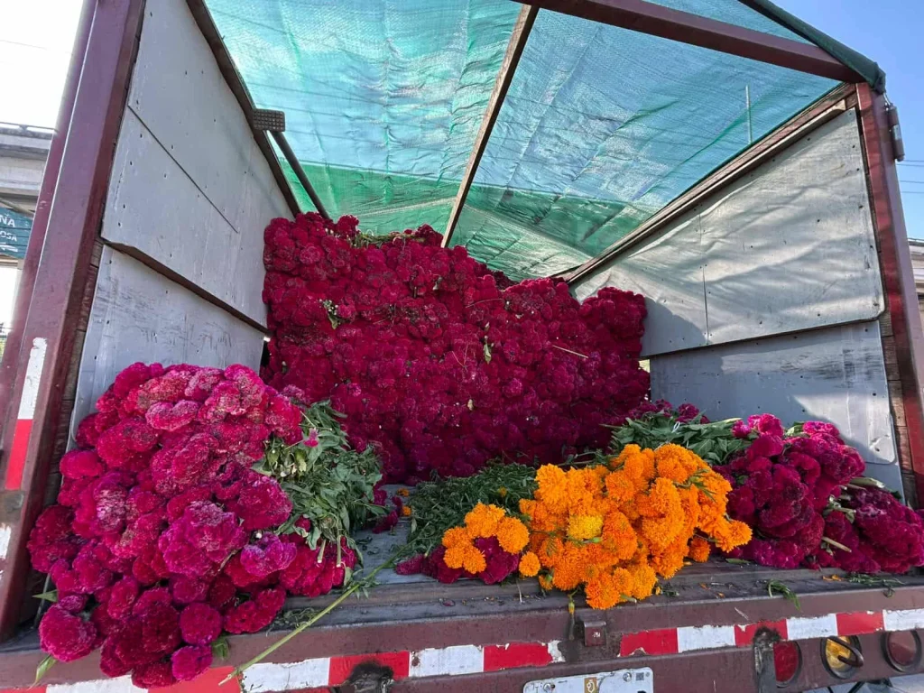 Llegan floristas foráneos a Reynosa 1 567637020 1115364327048296 6240969301184986044 n