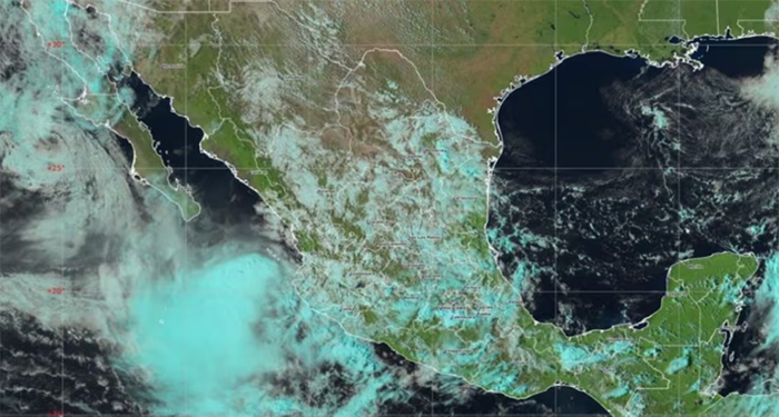 Captura-de-pantalla-2025-10-11-a-las-9.46.56-a.m