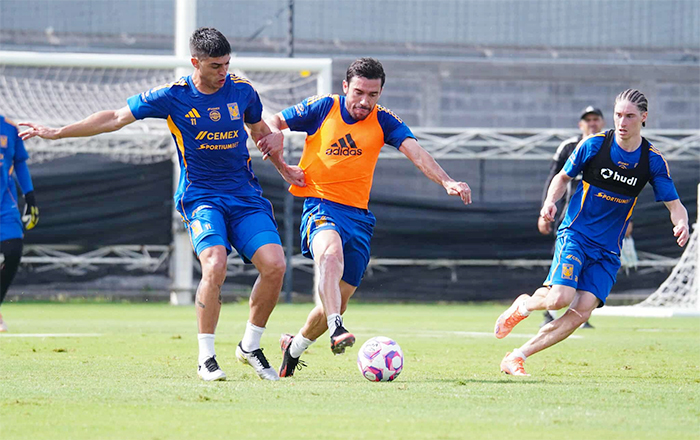 TIGRES-1