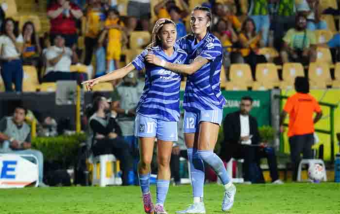 TIGRES-FEM-