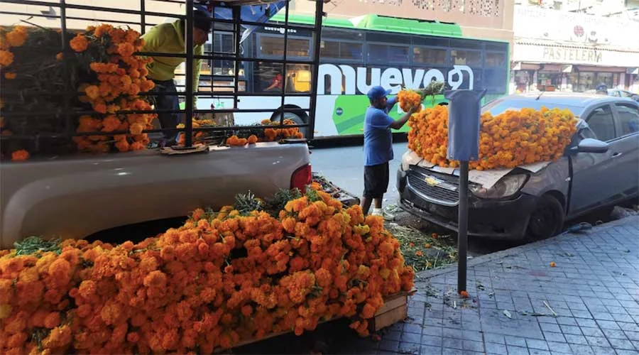 Flor de cempasúchil y mano de león 'invade' el Centro de Monterrey 5 flor