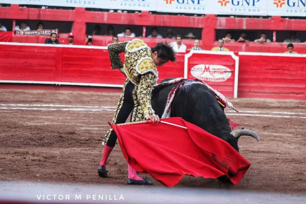 Magistral tarde de Roca Rey, a hombros de los toreros 2 34d8aa43 24d5 46ad 8a76 f70ede67fb9a