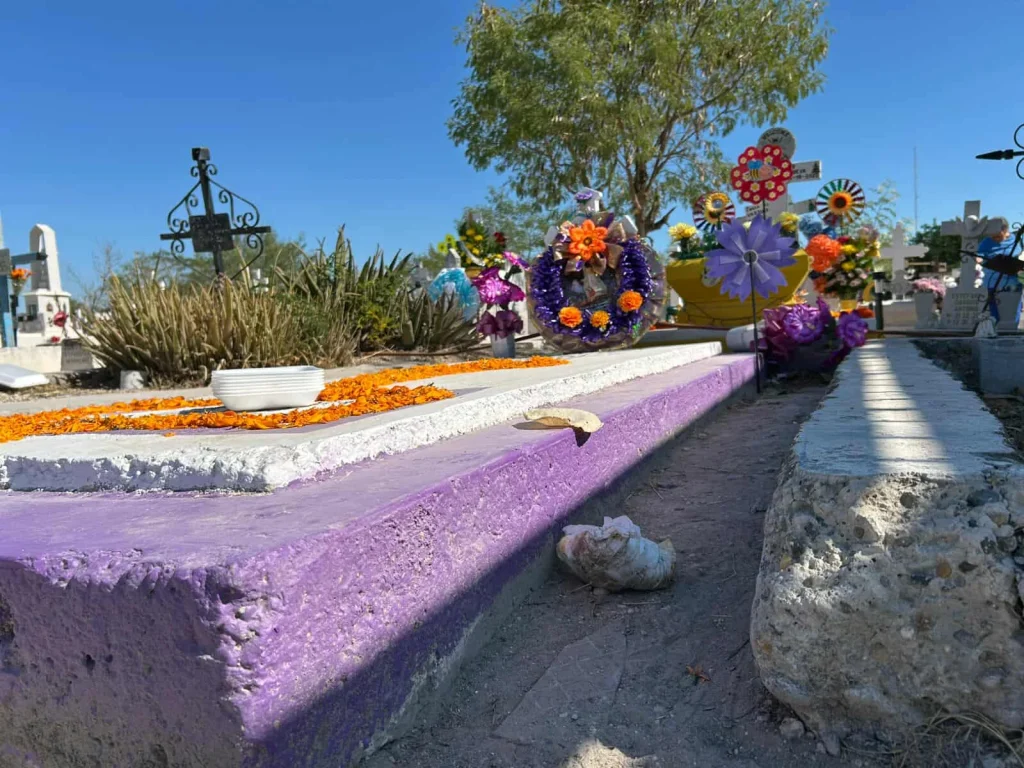 Panteones llenos de basura tras Día de Muertos 1 576673451 1462476061494705 5033804435669840697 n