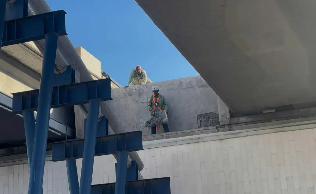 Rescatan con éxito al perrito atrapado en Puente de La Paz 1 582065537 1922612041631248 1863362849573676999 n
