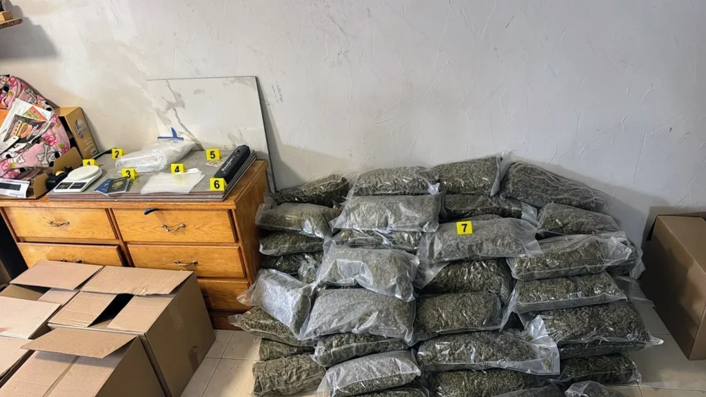 Aseguran casi 100 kilos de marihuana en Monterrey 2 588366047 1121608509793612 5000879405151175134 n