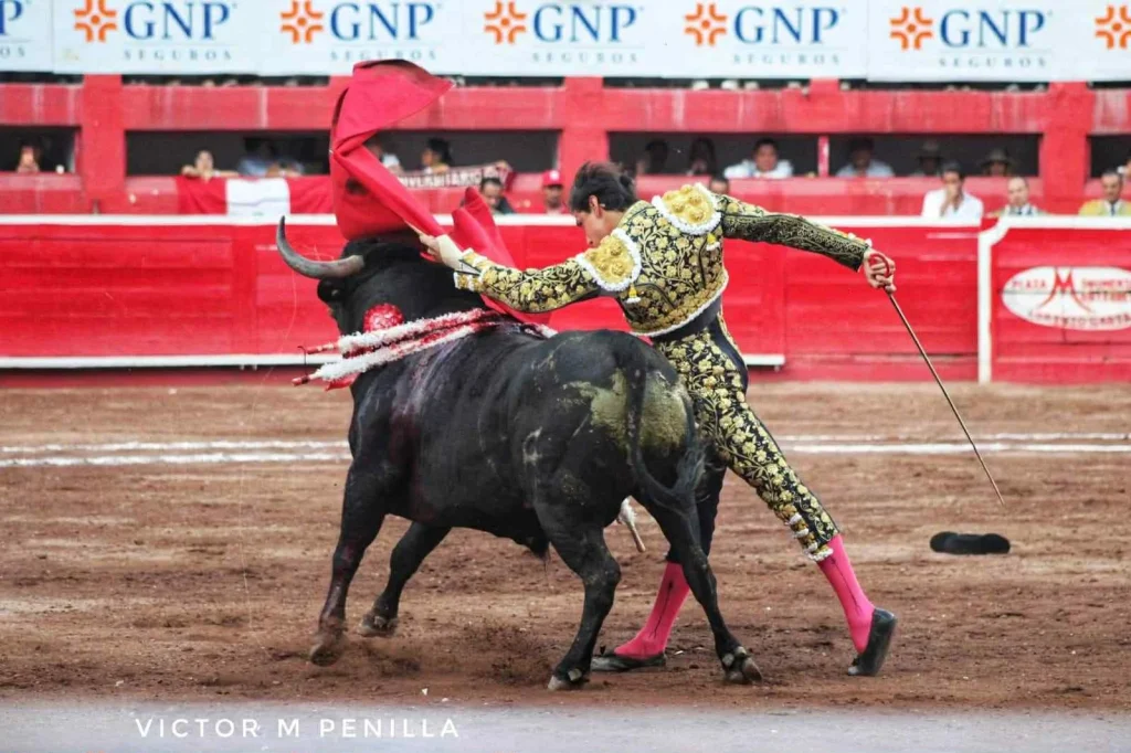 Magistral tarde de Roca Rey, a hombros de los toreros 3 87b91af2 13a7 4ed9 9141 0a099ff6c3dd
