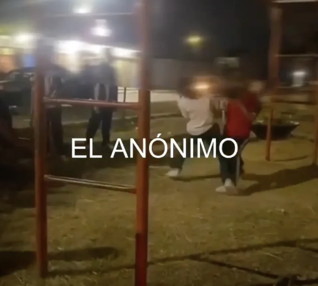 Captan a estudiantes de secundaria peleando; desmayan a uno 2 Captura de pantalla 2025 11 12 a las 1.18.17 p.m