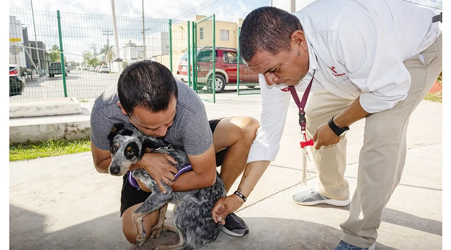 Beto Granados acerca servicios de zoonosis a familias de estancias residenciales 1 PERRITO 22