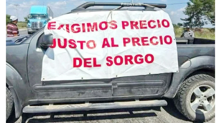 PROTESTA SORGO