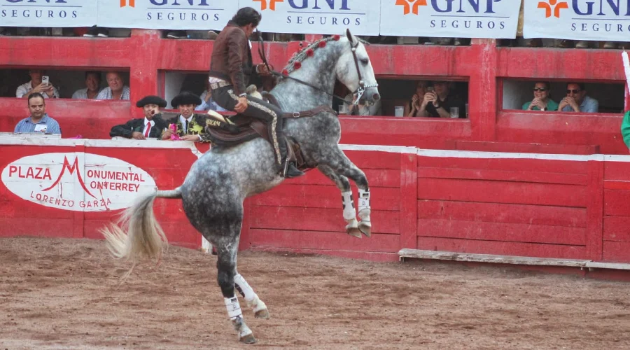 Habrá corrida de rejones en la Monumental 3 TOROS 44
