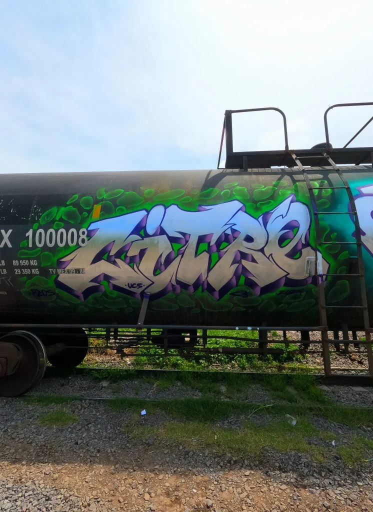 Grafitean el Metro en Monterrey 4 591140951 1005755718421144 8313227161926826567 n