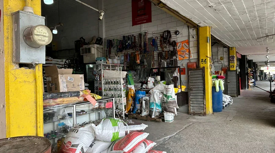 Esperan comerciantes aumento del 30% en ventas por temporada decembrina 1 592232434 796491819396775 454044437672244134 n