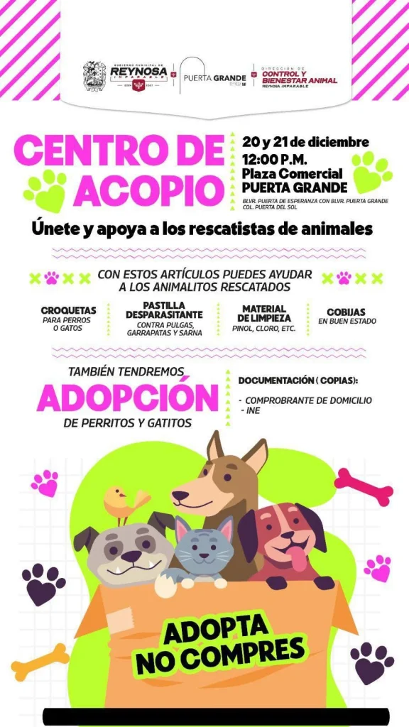 Invitan a participar en desfile navideño y jornada de adopción en Reynosa 1 597728476 2620584498304592 114916005194078614 n