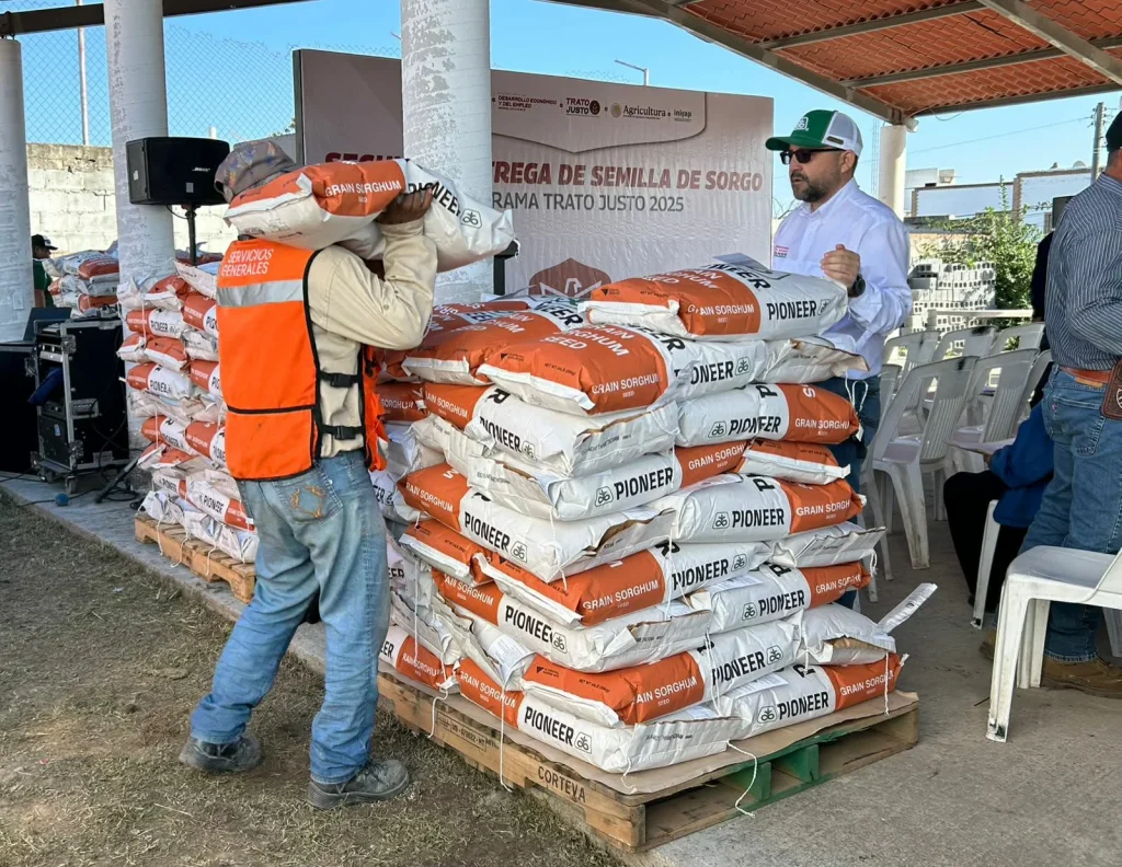 Reciben campesinos 28 toneladas de semilla de sorgo 2 597925718 1279489800735980 511963450538223887 n