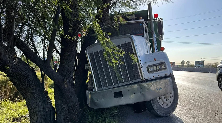Evita choque y termina contra árbol en Reynosa 1 598277053 1531044234868309 6579633105325529827 n