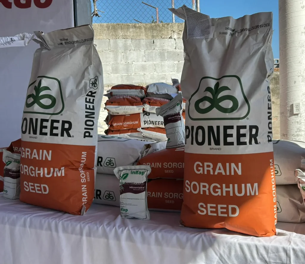 Reciben campesinos 28 toneladas de semilla de sorgo 3 598688295 882308684735511 3676470065828772634 n