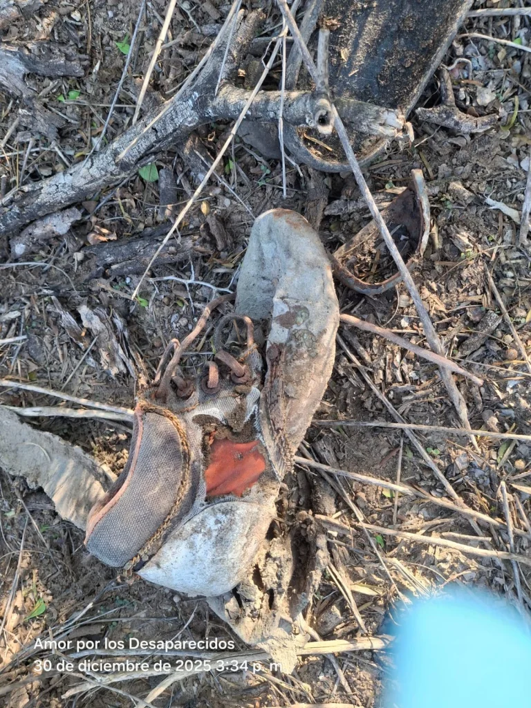 Reporta Amor por los desaparecidos nuevo hallazgo de restos óseos 4 605128083 1644639646694119 6862790947067335833 n