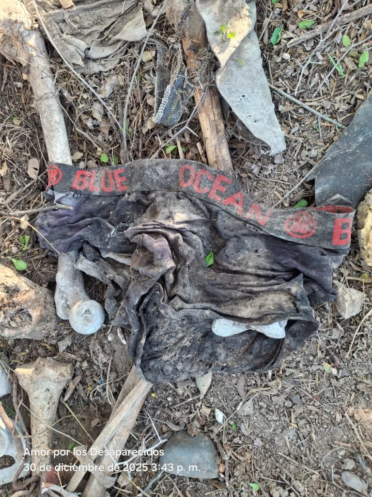 Reporta Amor por los desaparecidos nuevo hallazgo de restos óseos 1 605408233 1803693913683304 420506808621579841 n