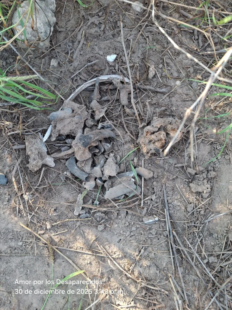Reporta Amor por los desaparecidos nuevo hallazgo de restos óseos 3 608251158 861792246495071 8751015242775740936 n