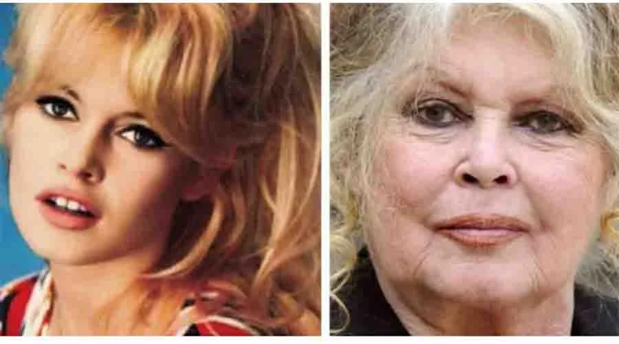 BARDOT