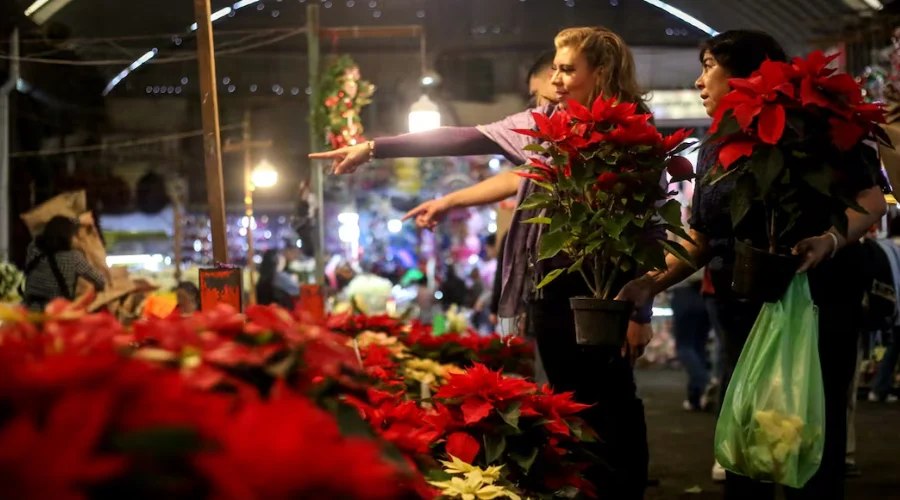 Gastos navideños aumentan estrés de al menos 52% de los mexicanos