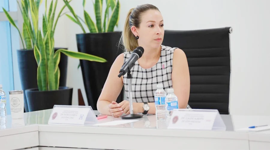 Diputada propone préstamo de juguetes a domicilio en las bibliotecas 1 PATRICIA MIREYA SALDIVAR