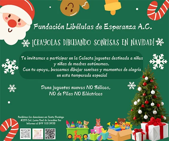 Invita Libélulas de Esperanza a participar en colecta navideña 1 POSADA 2