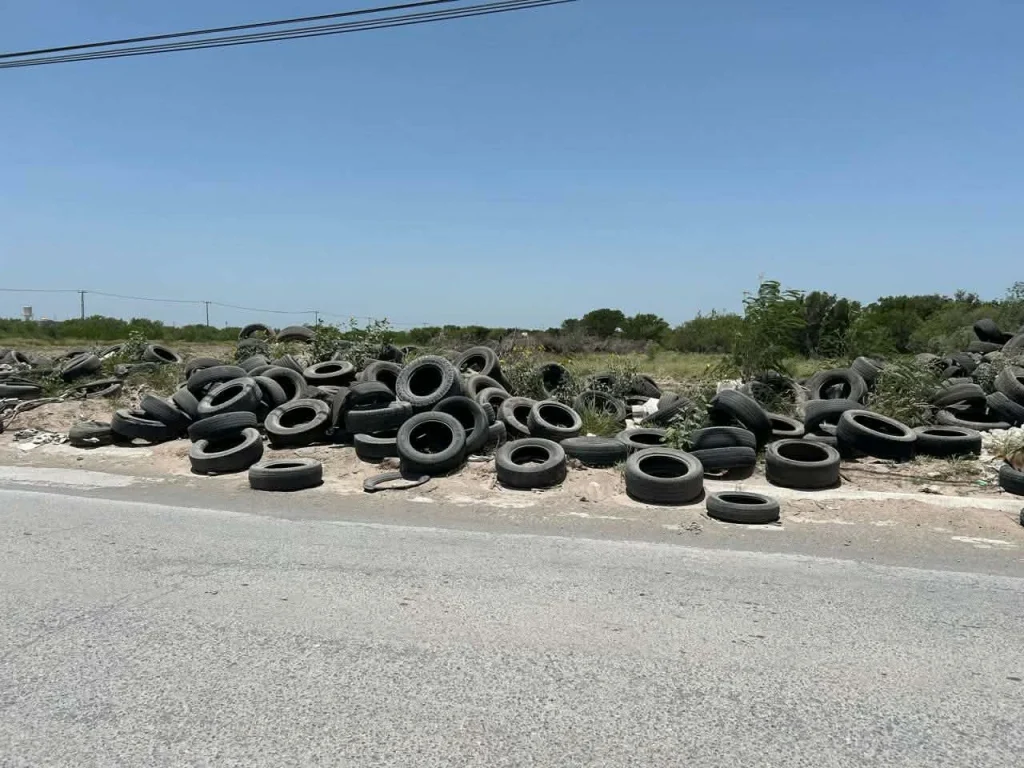 Atiende Medio Ambiente más de mil 800 denuncias 1 611089707 882024898088862 4286777014606695467 n