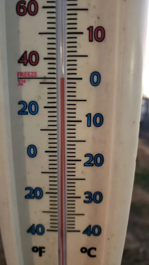 Escarcha y caída de hielo se registran en ejidos del norte de Tamaulipas 2 616267115 1947270562881881 5383553268150832648 n