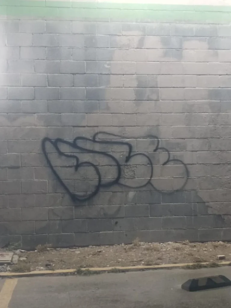 Arrestan a grafiteros en Escobedo 2 618980052 905030798847199 2725848904509066160 n