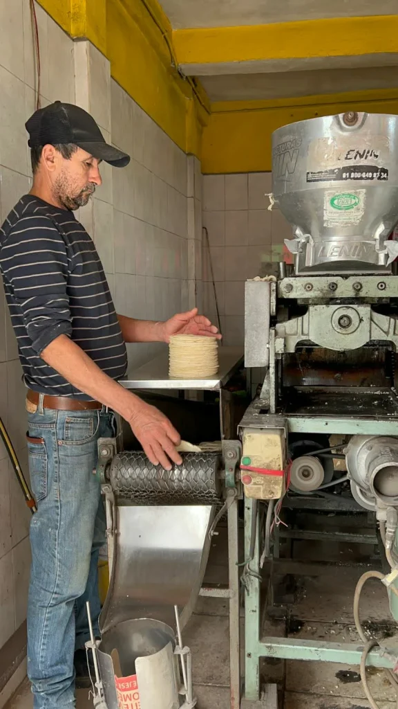 Anuncian aumento de dos pesos al kilo de tortilla a partir del domingo 4 619583869 25810144608612444 6440438516516928277 n