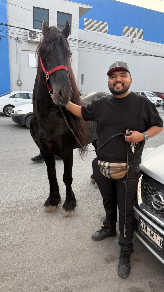Identifican a caballo que galopaba en Lincoln 3 620641032 1321911259674064 5945179064525428974 n