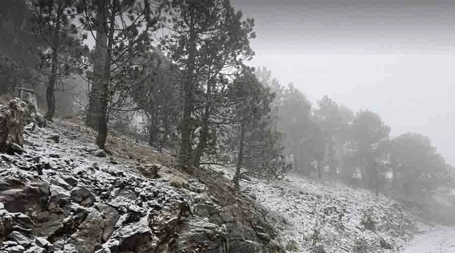 NIEVE 22