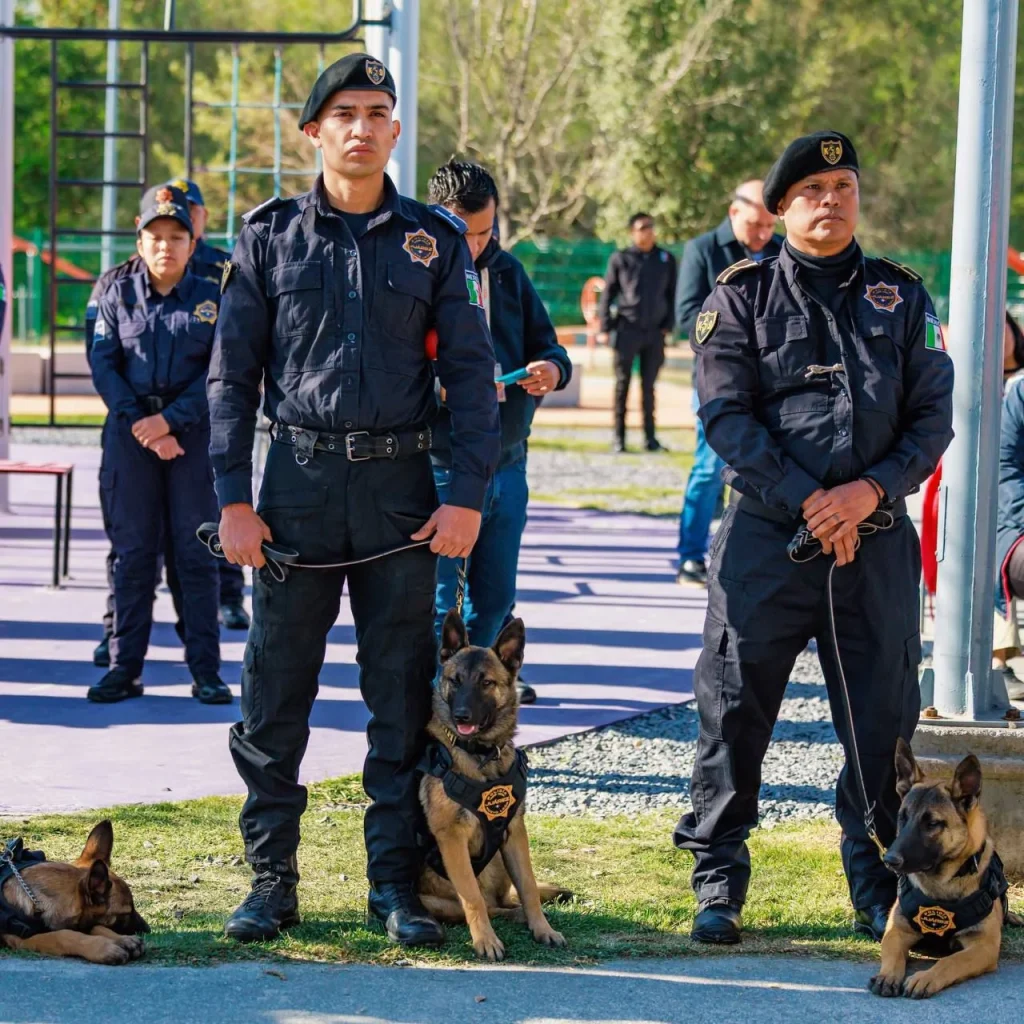 Presenta Félix Arratia la nueva Unidad K9: caninos al servicio de los juarenses 1 WhatsApp Image 2026 01 19 at 5.14.46 PM