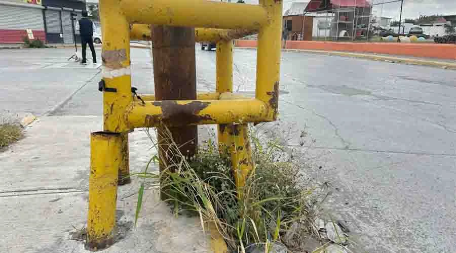 calle 11