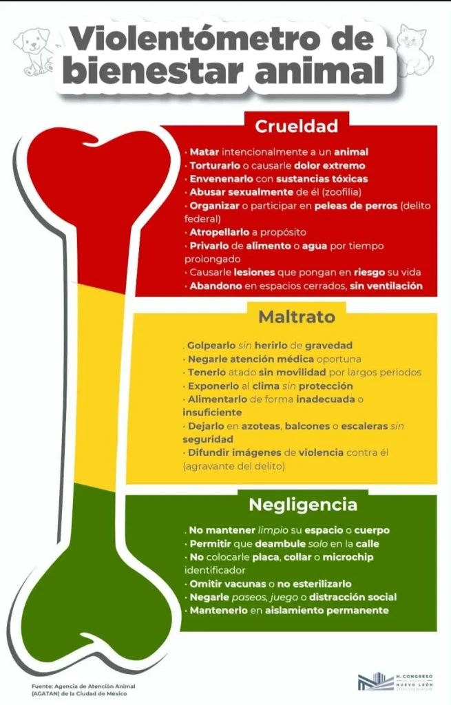 Aprueba Congreso creación de "Violentómetro de Bienestar Animal" en Nuevo León 1 637769348 1279215370687176 5302104779392632704 n