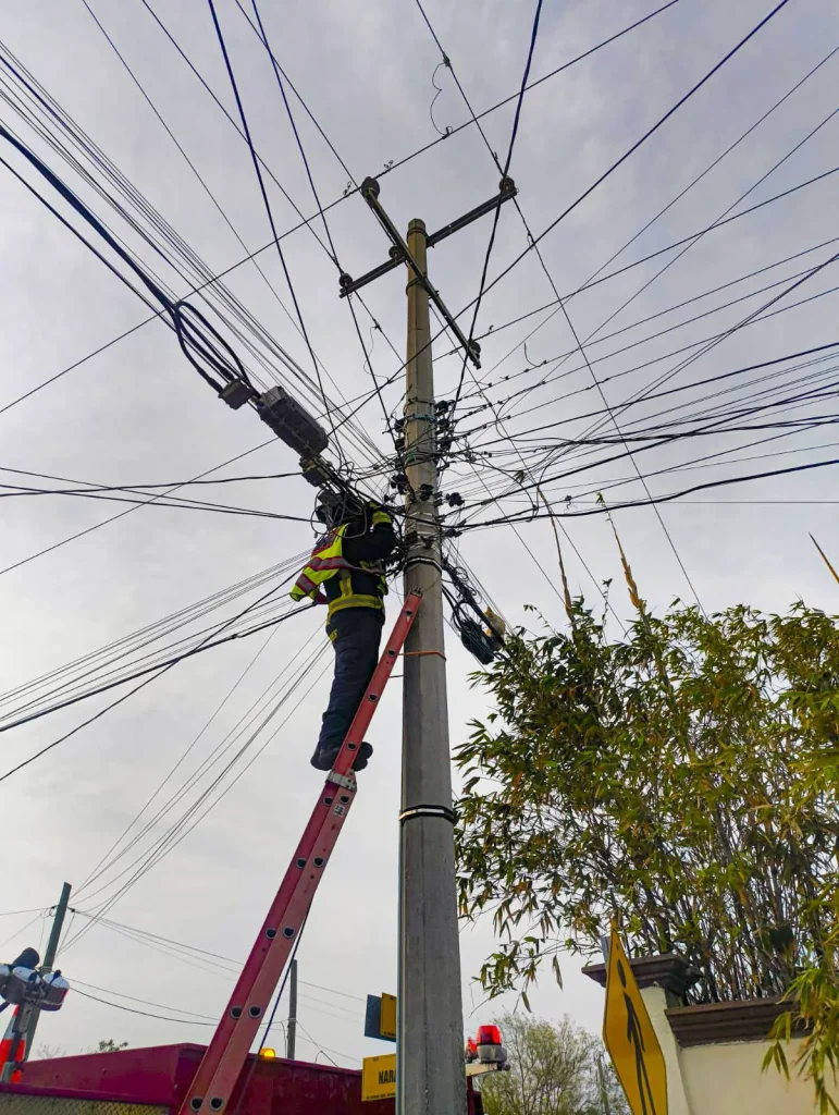 Rescatan a gatito atrapado entre cables en Reynosa 1 639401728 1182146997137787 1744677786502045478 n