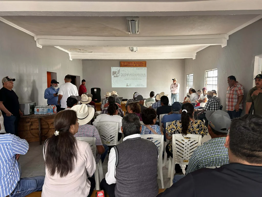 Agricultores cambiarán de giro; le apuestan al ajonjolí 1 639436360 903476965938906 8909787859171146825 n