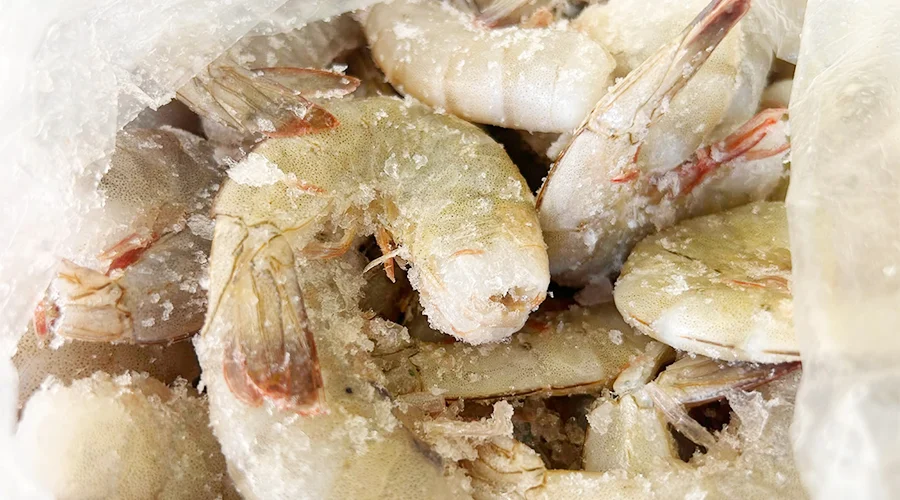 Vendedores de mariscos prevén incremento de ventas con la llegada de la Cuaresma 1 CAMARONES