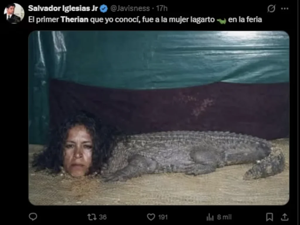 Los memes que dejaron los ‘Therians’, nueva tendencia 1 Captura de pantalla 2026 02 17 a las 1.09.53 p.m