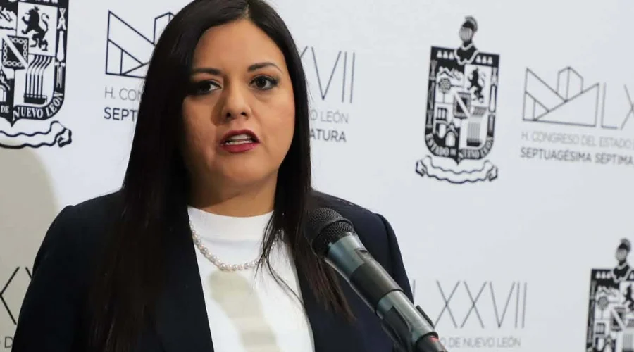 Itzel Castillo propone endurecer medidas contra deudores alimentarios