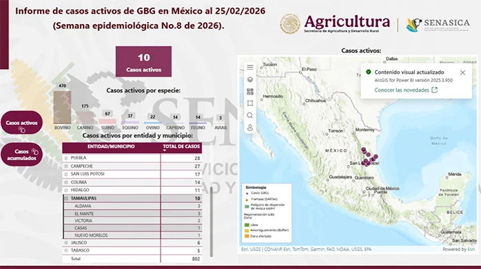 El barrenador ya tiene presencia en Victoria 1 MAPA GUSANO
