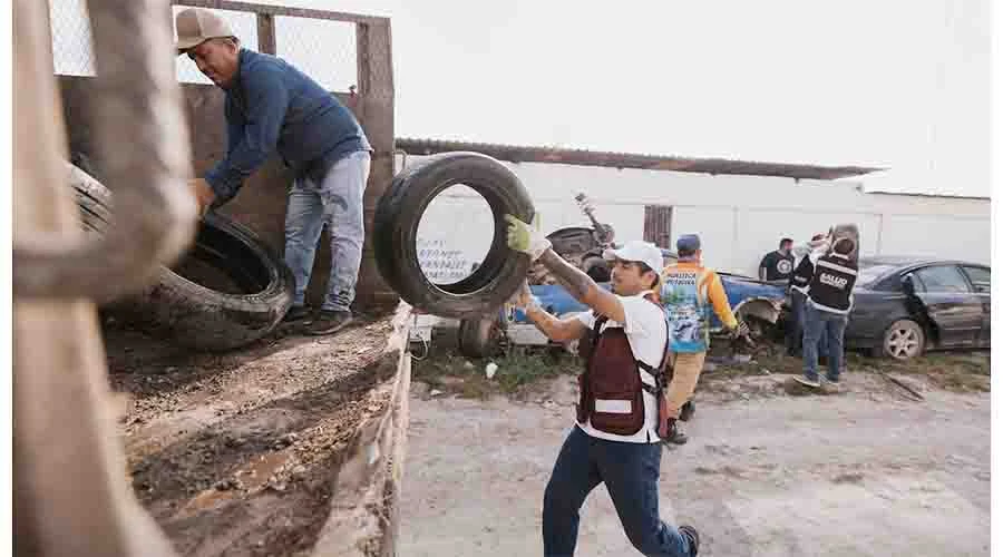 MATAMOROS LLANTAS 23