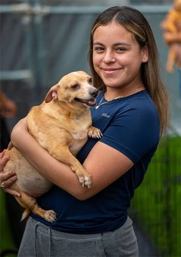 En Monterrey adoptan en 'Chihuatón' a los 50 perritos disponibles 1 PERRITO 2g