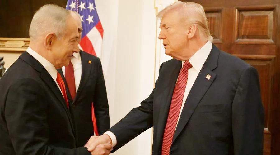 TRUMP 44